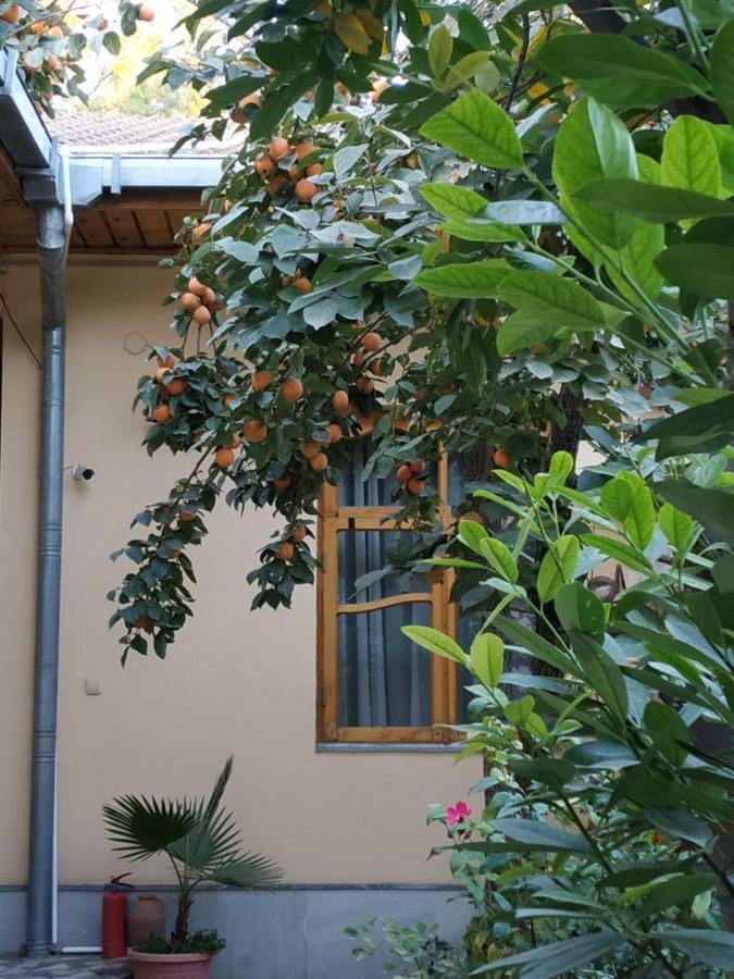 Sim Sim Hostel & Guest House Near The Church Samarkand Eksteriør billede