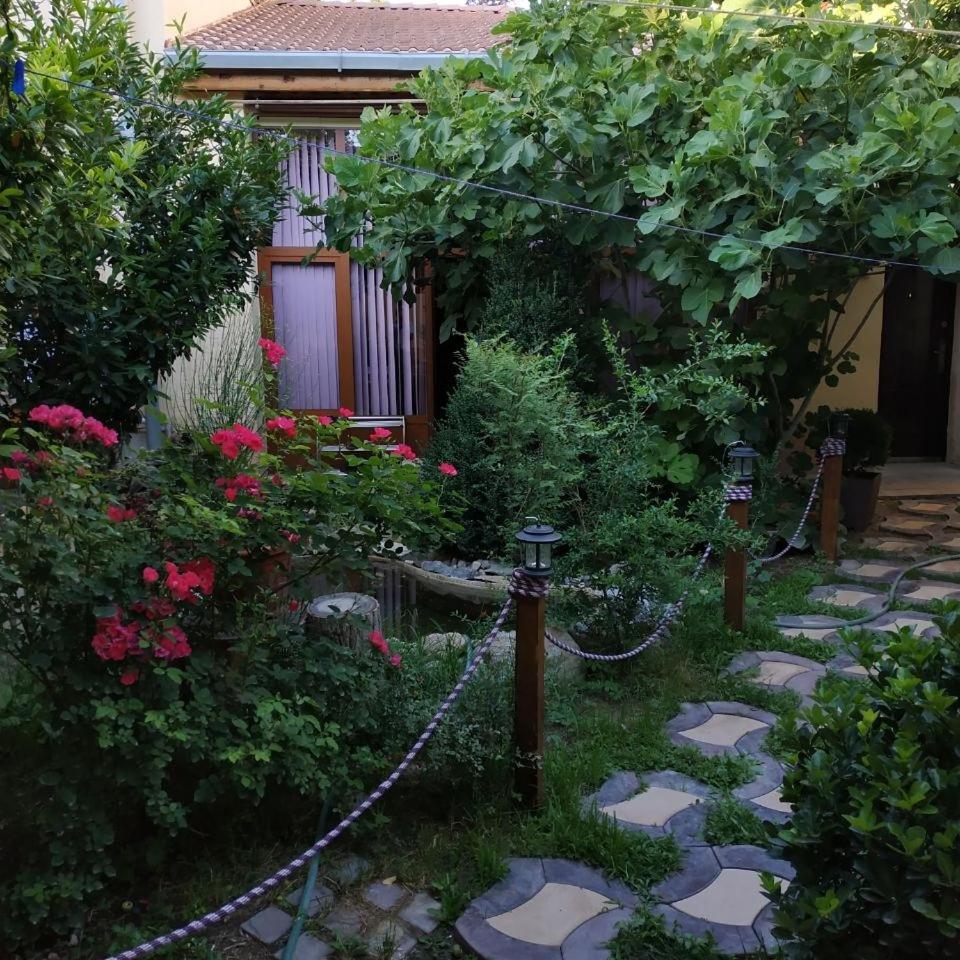 Sim Sim Hostel & Guest House Near The Church Samarkand Eksteriør billede