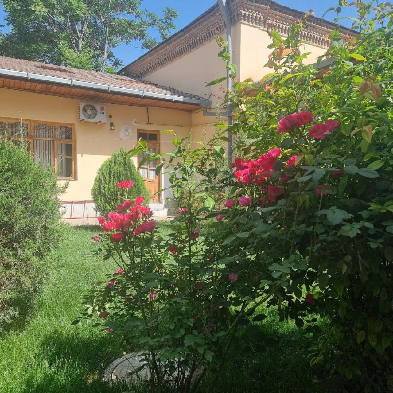 Sim Sim Hostel & Guest House Near The Church Samarkand Eksteriør billede