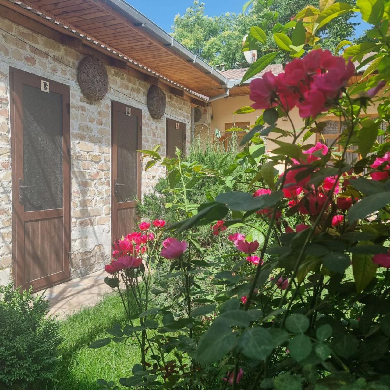 Sim Sim Hostel & Guest House Near The Church Samarkand Eksteriør billede